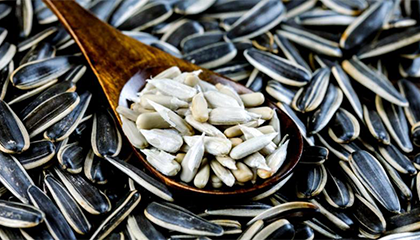 21岁大学生发生肠穿孔