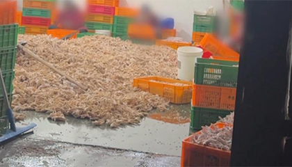 与辉同行辟谣曾带货315点名鸡爪