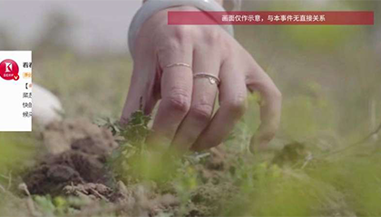 大伯踏青挖野菜