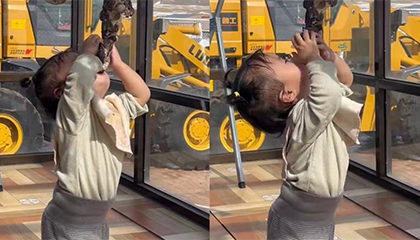 人类幼崽为吃肉有多拼？