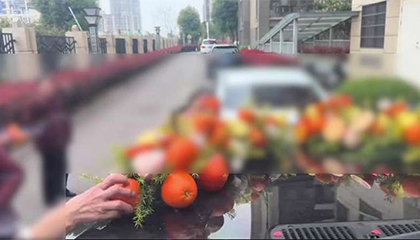 新人用橙子装饰婚车