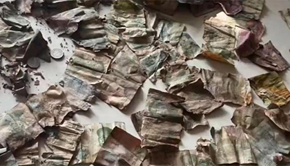 孙子找爷爷要钱