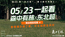 森中有林