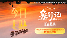 象行记