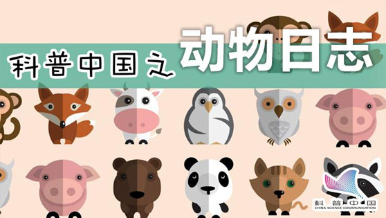 科普中国之动物日志